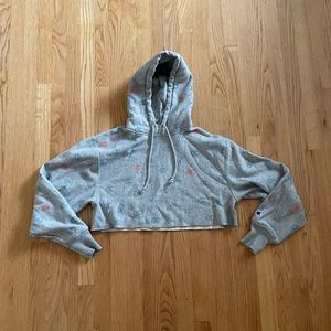 Champion Cropped Hoodie Reverse Weave